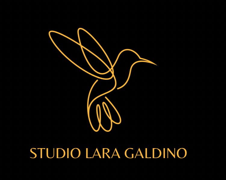 Studio Lara Galdino - Jd. Fontalis/SP